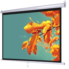 Màn chiếu treo tường Wall DALITE 70”x 70”(1.78 x 1.78m)