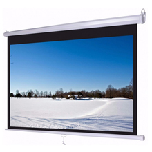 Màn chiếu treo tường Wall DALITE 120”x 90”(3.05 x 2.25m)