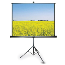 Màn chiếu 3 chân Tripod DALITE 96”x 96”(2.44 x 2.44m)