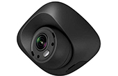 Camera HDPARAGON | Camera TVI mini dùng trong xe 1.0 Megapixel HDPARAGON HDS-VC112T-ITS (Indoor)