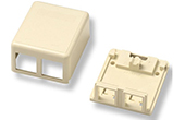 Cáp mạng AMP | 2-Port Surface Modular Jack Box COMMSCOPE (1116698-1)