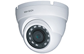 Camera IP KBVISION | Camera IP Dome hồng ngoại 2.0 Megapixel KBVISION KX-A2012TN3