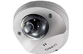 Camera IP I-PRO | Camera IP Dome hồng ngoại 2.0 Megapixel I-PRO WV-S3531L