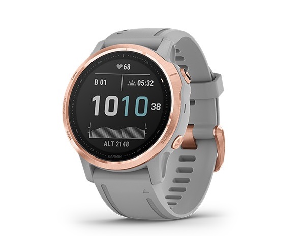 Đồng hồ thông minh Garmin Fenix 6S 010-02159-75