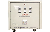 Biến áp LIOA | Biến áp đổi nguồn hạ áp 3 pha LiOA 3K101M2DH5YC (Loại cách ly)