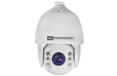 Camera IP HDPARAGON | Camera IP Speed Dome hồng ngoại 2.0 Megapixel HDPARAGON HDS-PT7225IR-S5