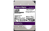 Ổ cứng HDD WESTERN | Ổ cứng chuyên dụng 14TB WESTERN PURPLE WD141PURP
