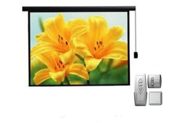 Màn chiếu điện điều khiển từ xa 120 inch REGENT MS120V