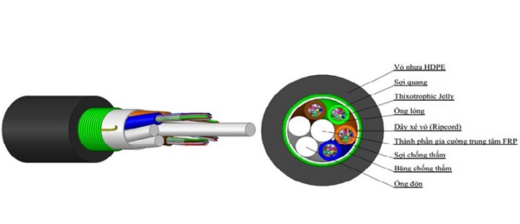 Cáp quang luồn cống 24FO có băng thép chống gặm nhấm SACOM DUA24