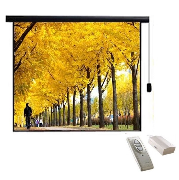 Màn chiếu điện Electric DALITE 96” x 96” (2.44 x 2.44m)