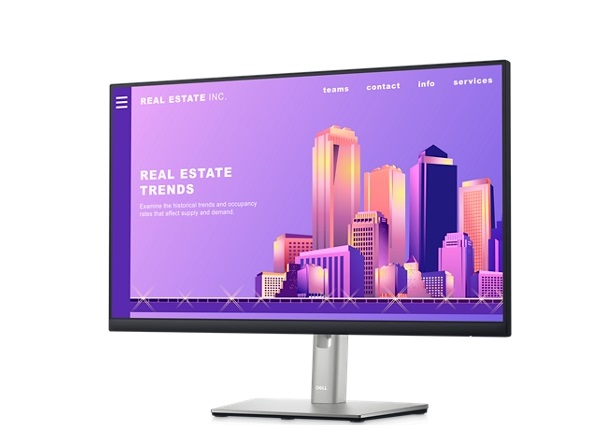 Màn hình vi tính LCD LED 23.8-inch DELL P2422H