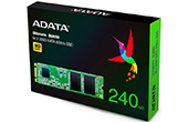 Ổ cứng ADATA | Ổ cứng SSD ADATA SU650 240GB M2 (ASU650NS38-240GT-C)