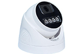 Camera IP J-TECH | Camera IP Dome Full Color 4.0 Megapixel J-TECH UHD5284DLS