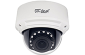 Camera IP GOLDEYE | Camera IP Dome hồng ngoại 2.0 Megapixel Goldeye GE-NFD620-W