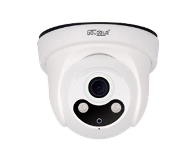 Camera IP Dome hồng ngoại 2.0 Megapixel Goldeye NTE414-IR