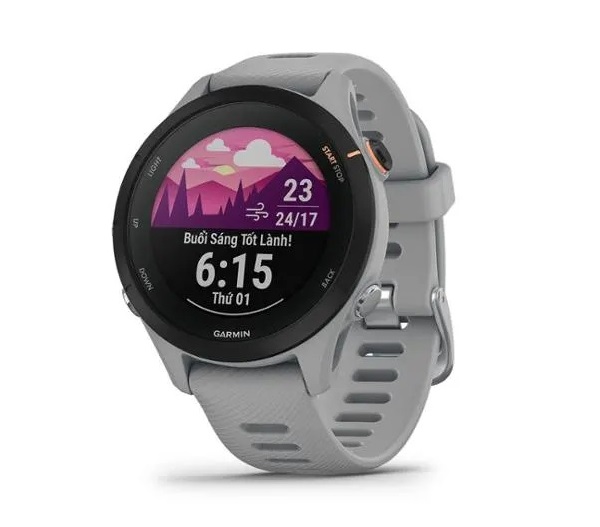 Đồng hồ thông minh Garmin Forerunner 255S Powder Gray (010-02641-63)