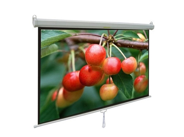 Màn chiếu treo tường 120-inch APOLLO MNS220