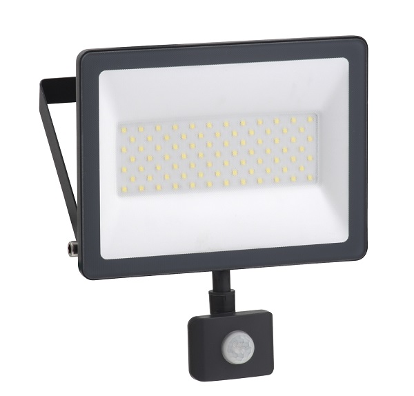 Đèn pha LED 50W Schneider Mureva IMT47220