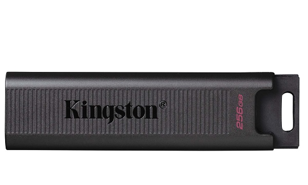 USB 3.2 256GB KINGSTON DTMAX/256GB