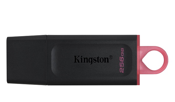 USB 3.2 256GB KINGSTON DTX/256GB