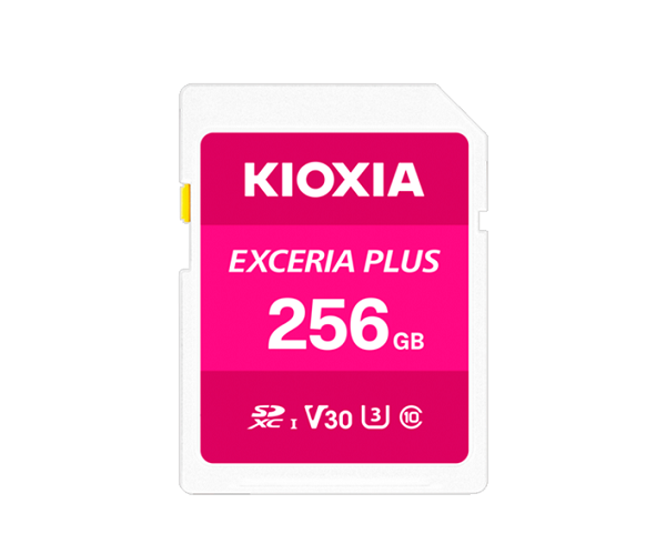 Thẻ nhớ 256GB Kioxia LNPL1M256GG4