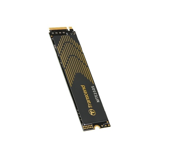 Ổ cứng SSD PCIe M.2 1TB Transcend TS1TMTE250S