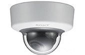 Camera IP SONY | Camera Dome IP SONY SNC-VM600