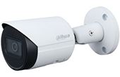 Camera IP DAHUA | Camera IP hồng ngoại 8.0 Megapixel DAHUA IPC-HFW2841S-S