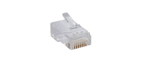 Đầu bấm dây mạng Cat6 UTP D-Link NPG-C61TRA031-100