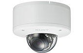 Camera IP SONY | Camera Dome hồng ngoại IP SONY SNC-EM602RC