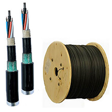 Cáp quang LS LT-DJBGSEX/BRN MG4XXX(06T2.00)