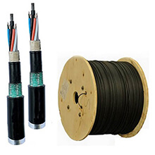 Cáp quang LS LT-DJBGEXX/BRN MG8XXX(06T2.00)