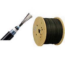 Cáp quang LS LT-DJBGSEX/BRN M424XX(06T2.00)