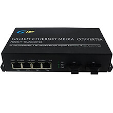 4-port  GE Switch G-NET G-UES-2GX4GT-SC20A/B