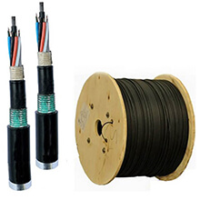 Cáp quang LS LT-DJBGEXX/BRN MG12XX(06T2.00)