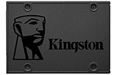 O cung SSD KINGSTON