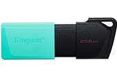 USB The nho KINGSTON